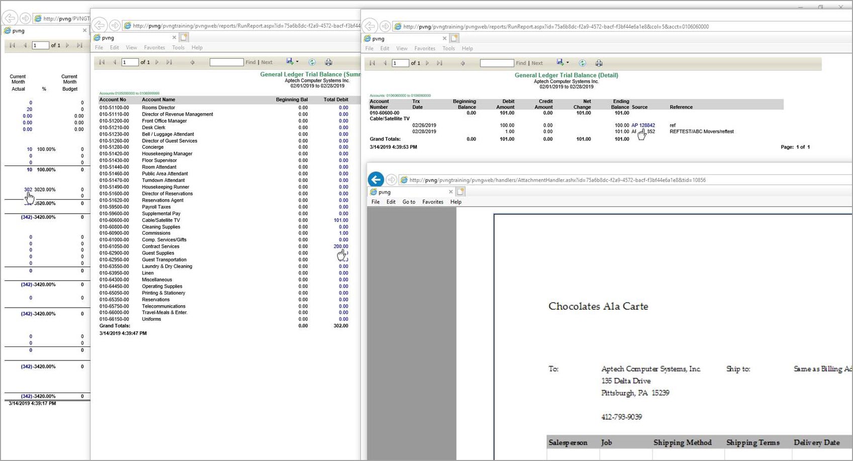 PVNG P&L Summary with Drill Down to Invoice Aptech Computer Systems